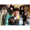 Puzzle 1000 elementów Compact Harry Potter